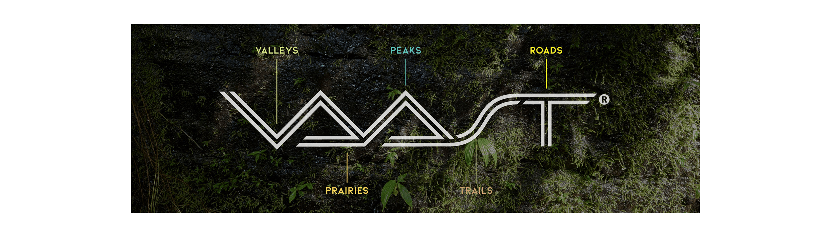 vaast_about_logo_infographic