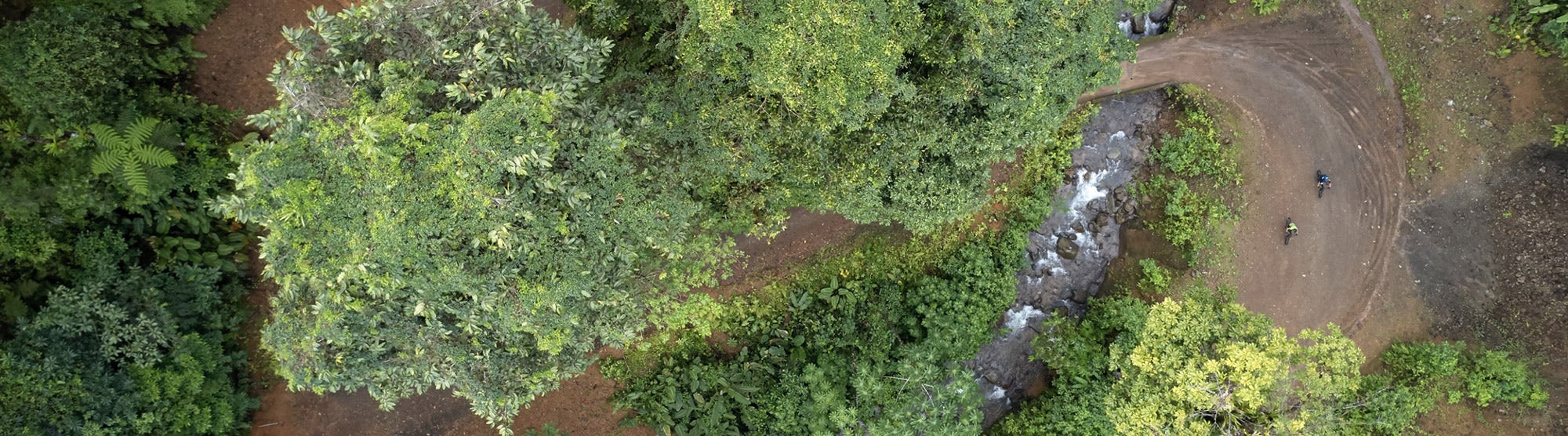 vaast_about_rivers_woods_bg